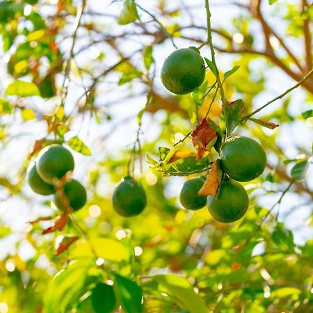 Indian Wells Rv Resort Indio Ngoại thất bức ảnh